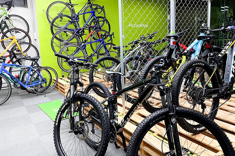 Bike line shop near me